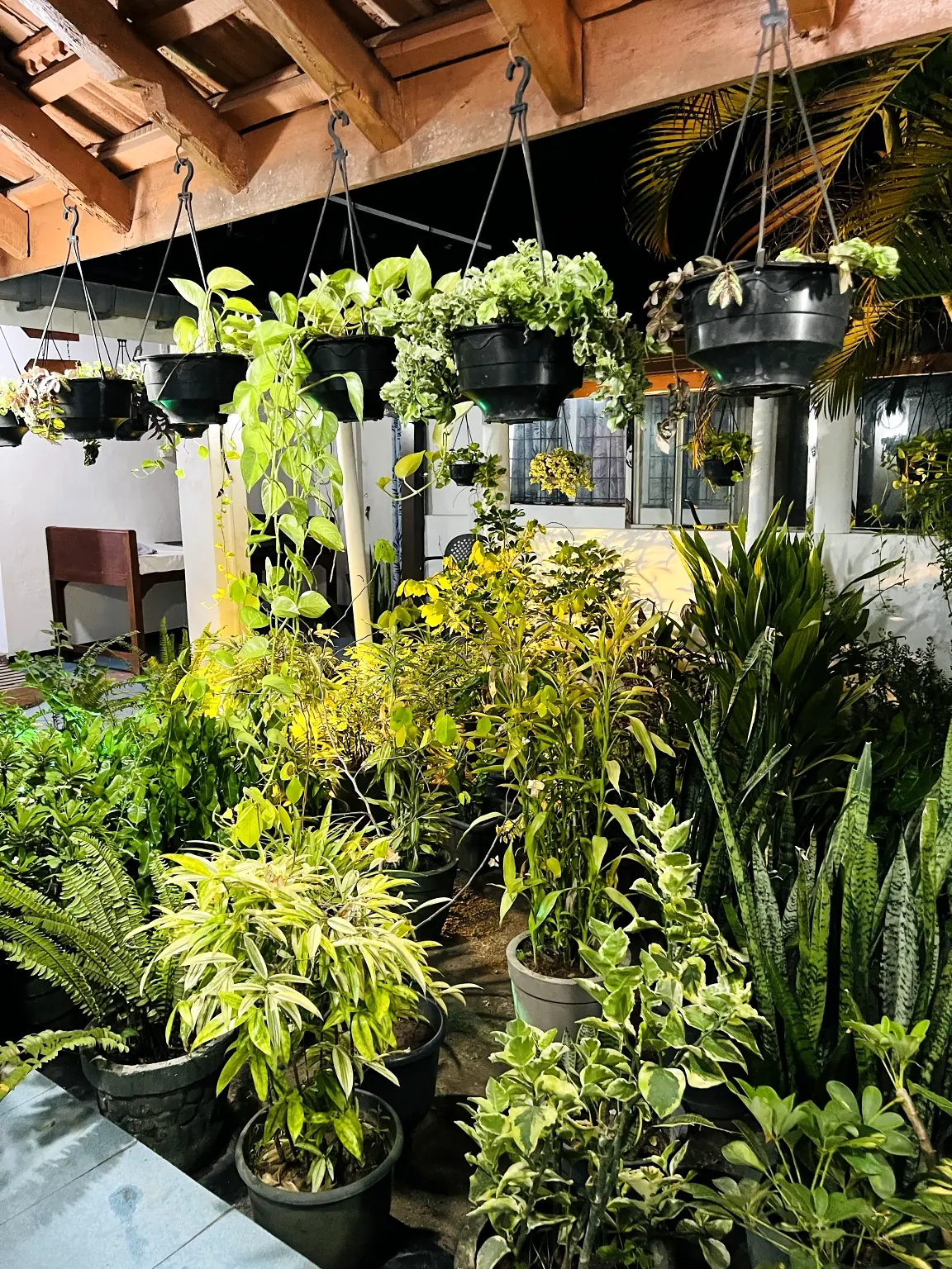 Green garden space at Central Nursing Home